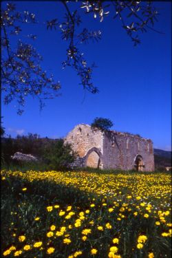 La chiesa di S. Andrea