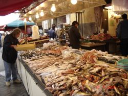 Il mercato di Ortigia, Siracusa: bancarelle del pesce