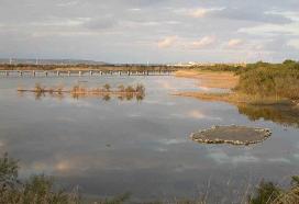 Saline Priolo