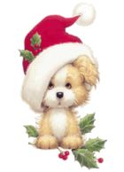 BUONE FESTE